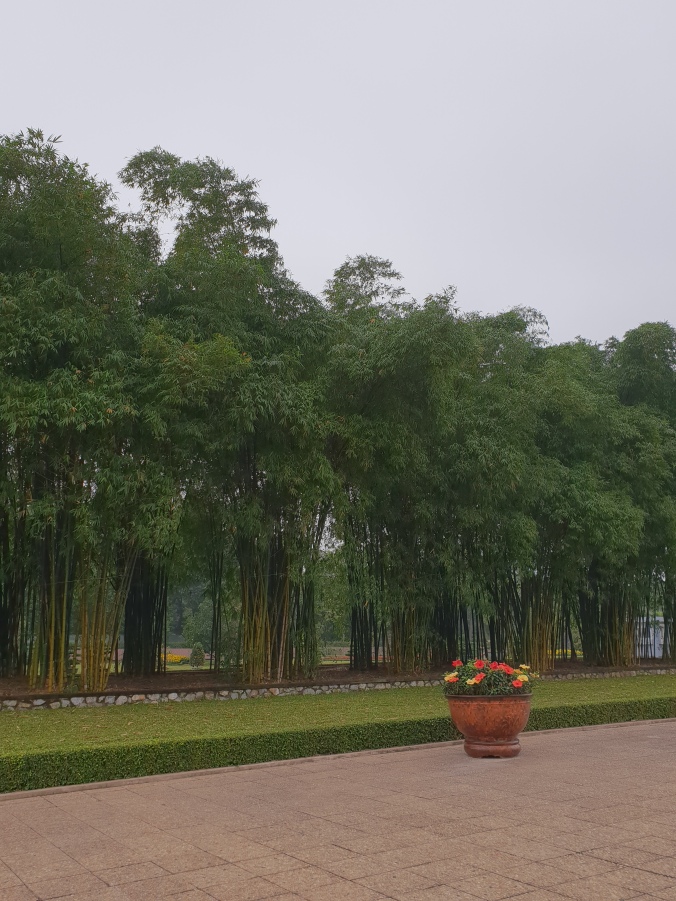 The bamboo garden at Ho Chi Min City, Hanoi